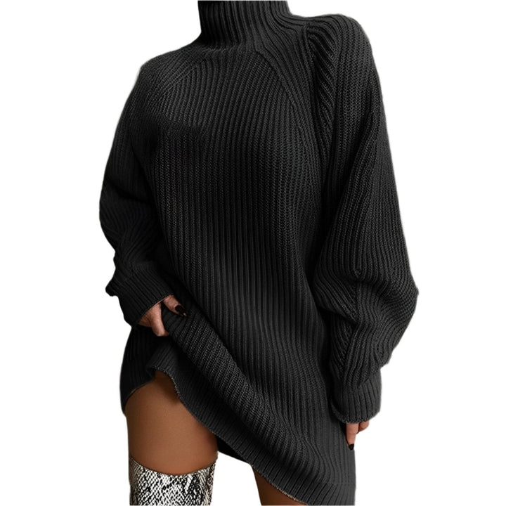 Oriwynn | Women's Knit Cozy and Contemporary Oversized High-Neck Sweater — Black